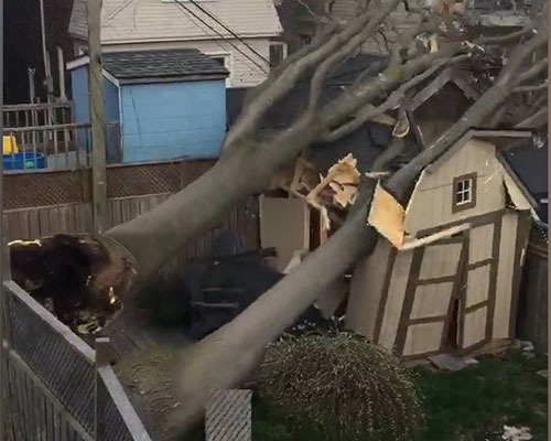 Dos muertos y corte de electricidad por tempestad en Canadá